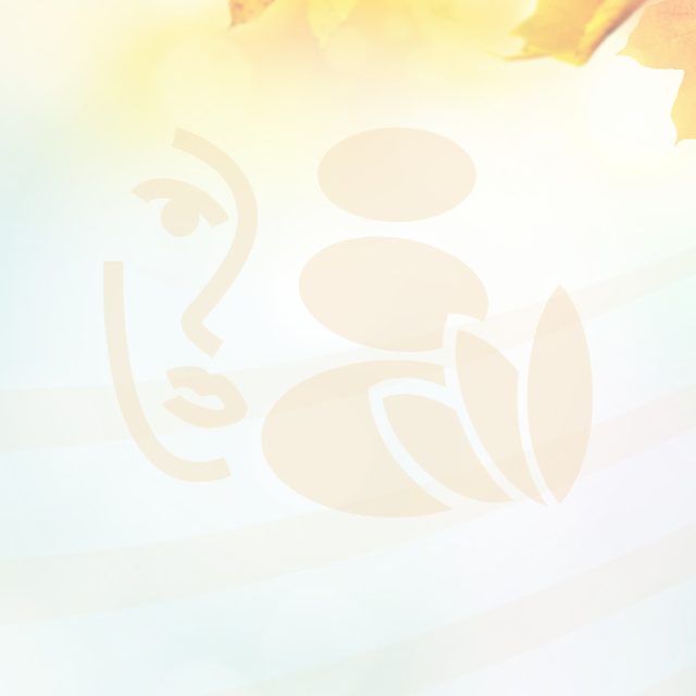 Beauty & Wellness - Septemberspecials